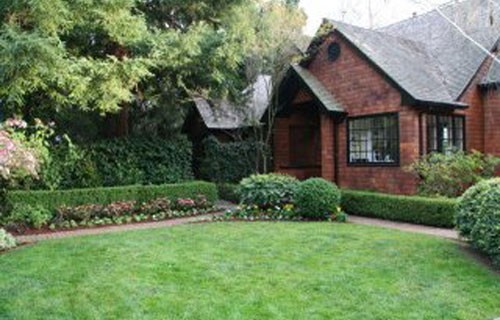 Gallery Picture